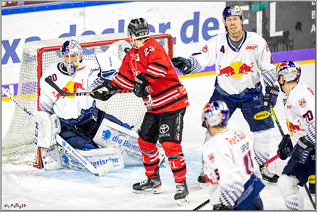 DEL;  Koelner Haie - EHC Red Bull Muenchen; Koeln, 02.02.2020